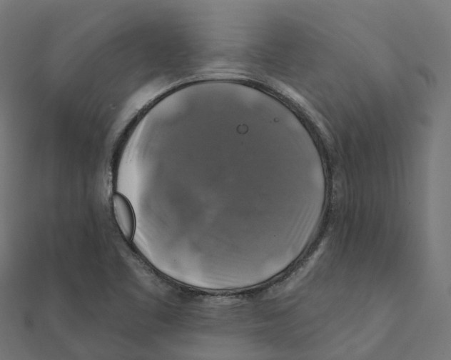 X0000111241461200907301256