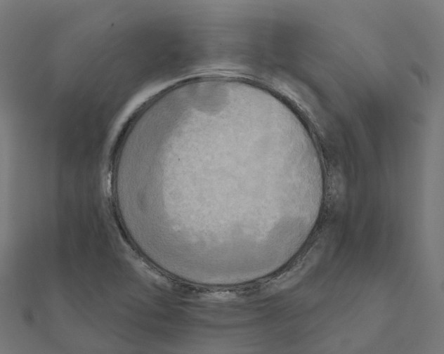 X0000111241462200907301256