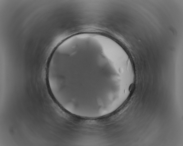 X0000111241463200907301256