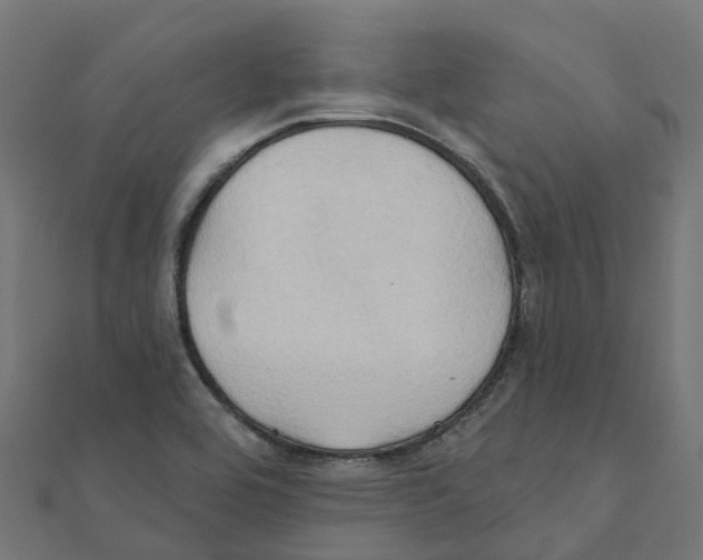 X0000111241464200907301256