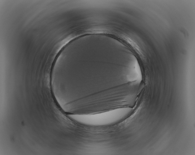 X0000111241465200907301256