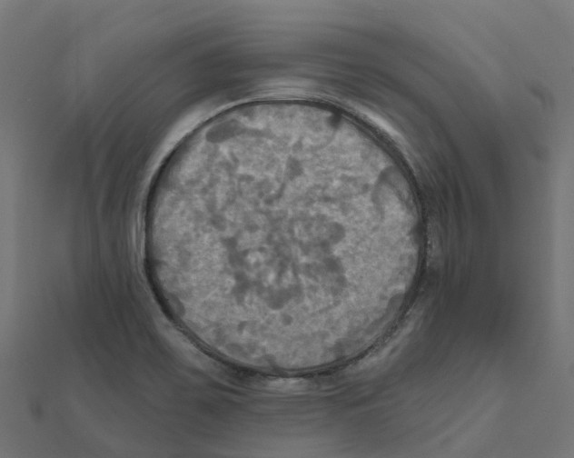 X0000111241467200907301256