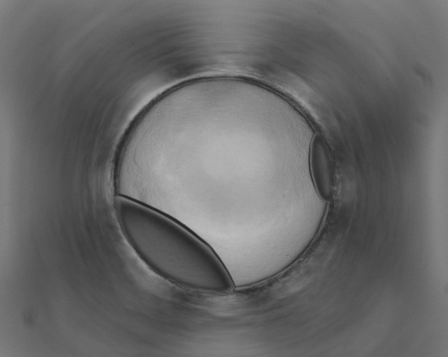 X0000111241468200907301256