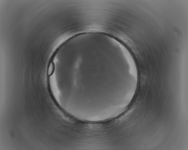 X0000111241469200907301256