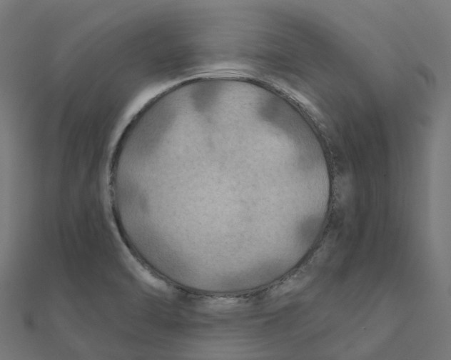 X0000111241470200907301256