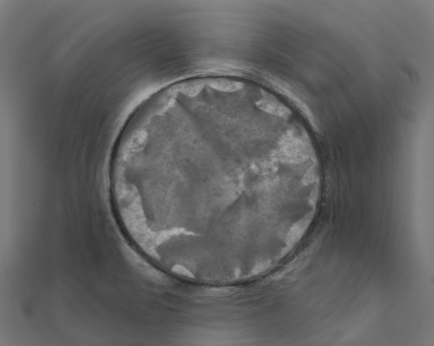 X0000111241471200907301256