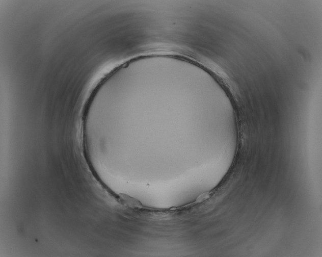 X0000111241472200907301256