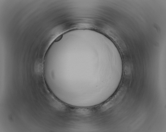 X0000111241473200907301256