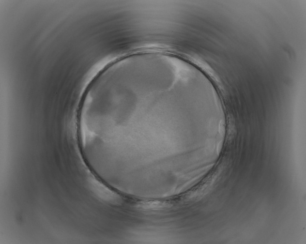 X0000111241474200907301256