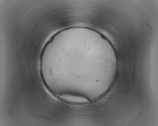 X0000111241476200907301256