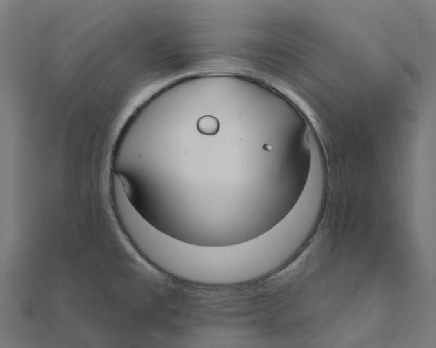 X0000111241477200907301256