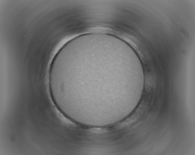 X0000111241478200907301256