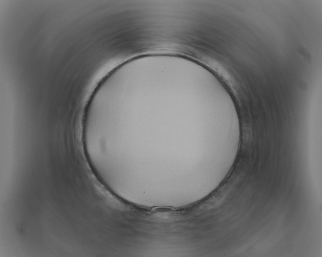 X0000111241480200907301256