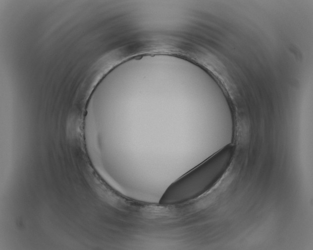 X0000111241481200907301256