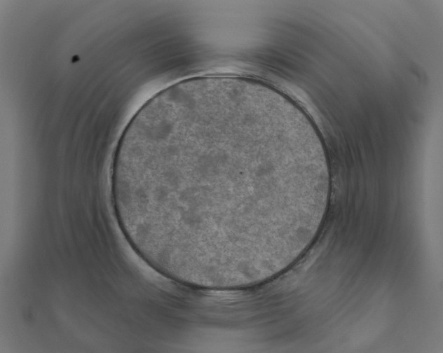 X0000111241483200907301256