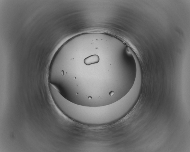 X0000111241484200907301256