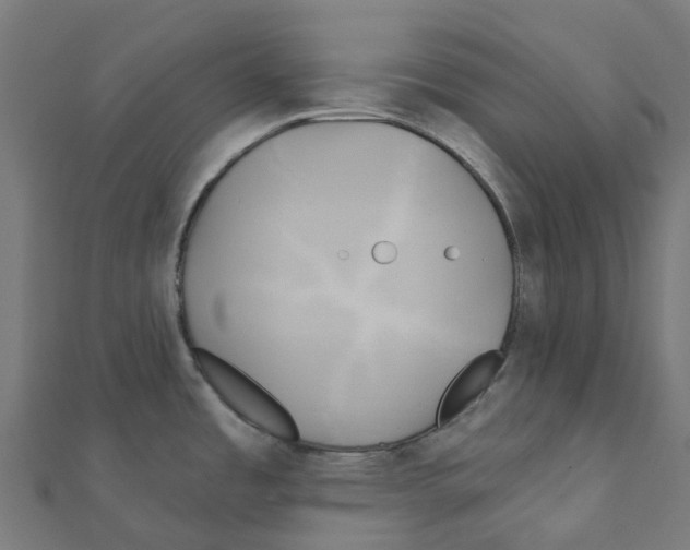 X0000111241485200907301256