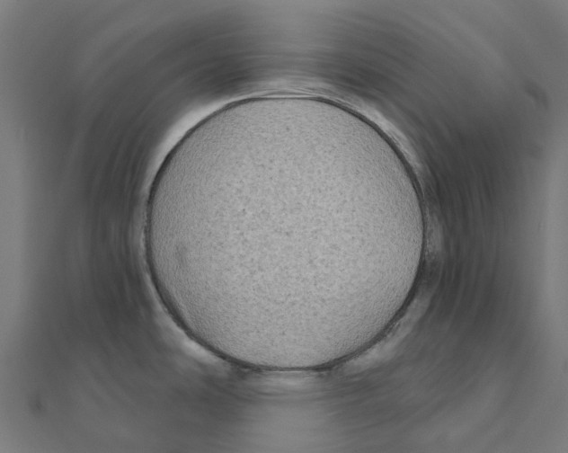 X0000111241486200907301256