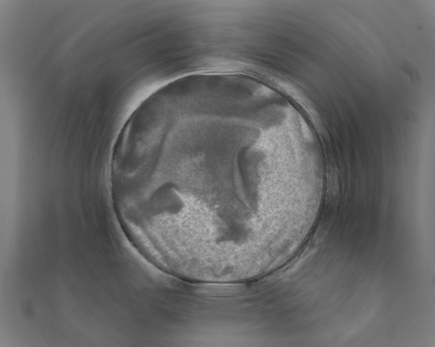 X0000111241487200907301256