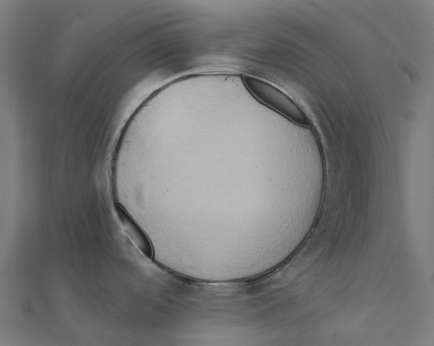 X0000111241488200907301256