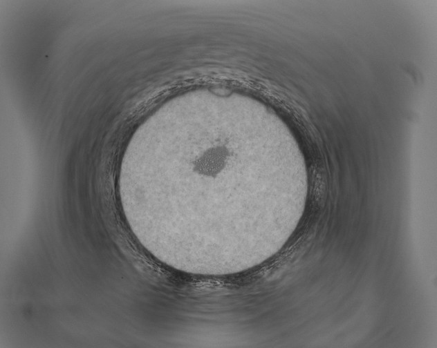 X0000111241489200907301255