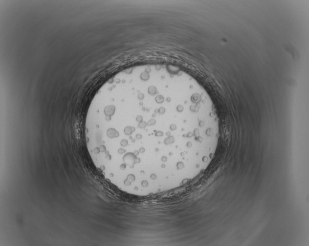 X0000111241490200907301255