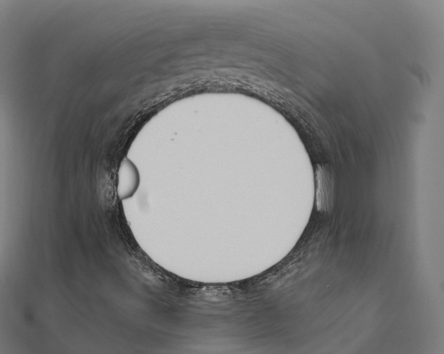 X0000111241491200907301255