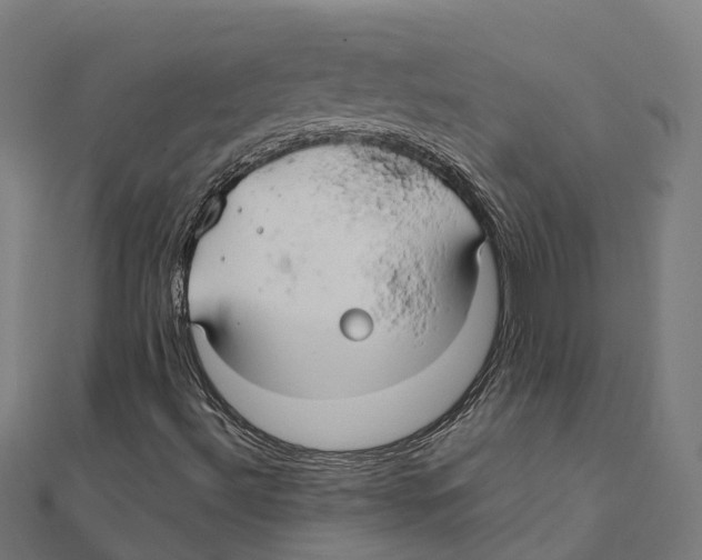 X0000111241492200907301255