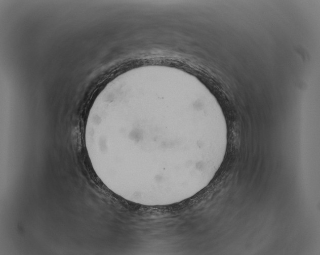 X0000111241493200907301255