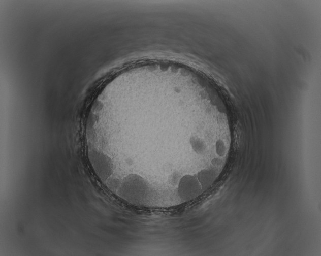 X0000111241494200907301255