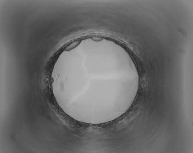 X0000111241496200907301255