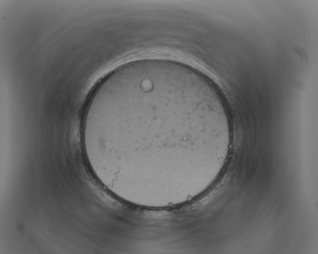 X0000111241498200907301255