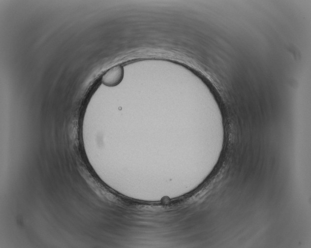 X0000111241499200907301255