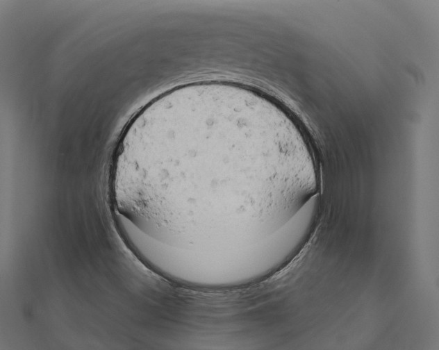 X0000111241500200907301255