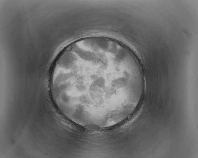 X0000111241501200907301256