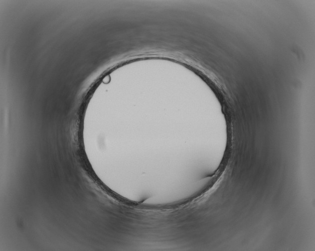 X0000111241502200907301256