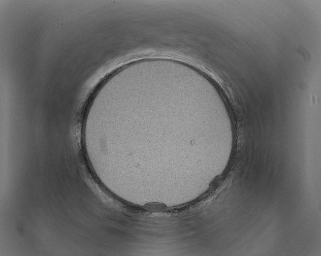 X0000111241503200907301256