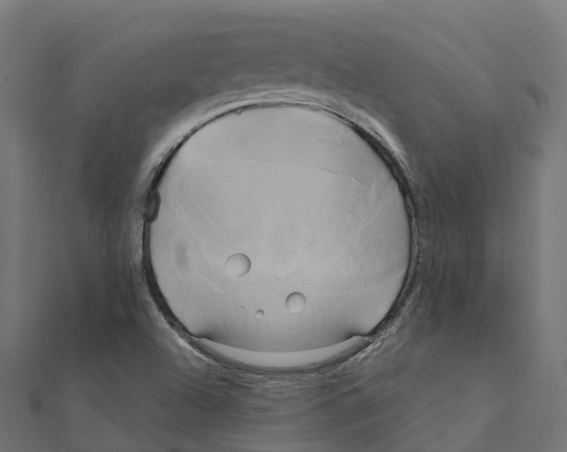 X0000111241504200907301256