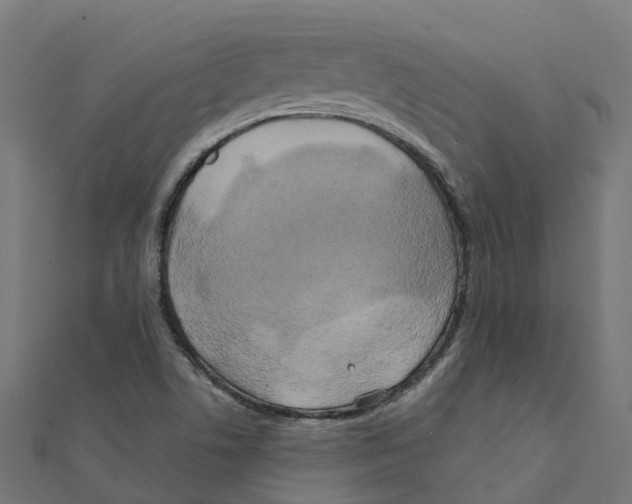 X0000111241506200907301256