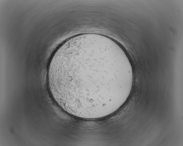 X0000111241507200907301256