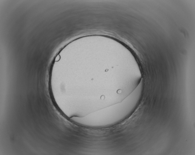 X0000111241508200907301256