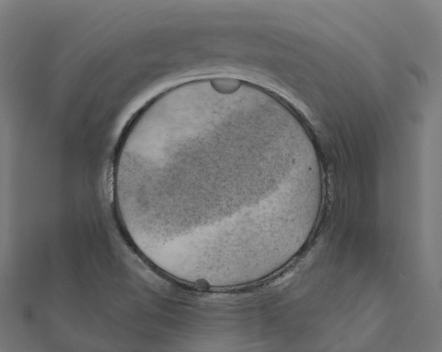 X0000111241510200907301256