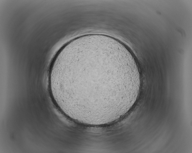 X0000111241511200907301256