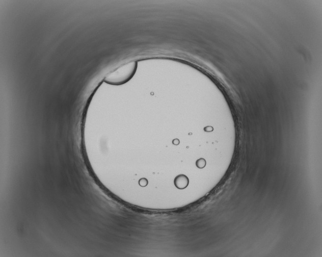 X0000111241512200907301256