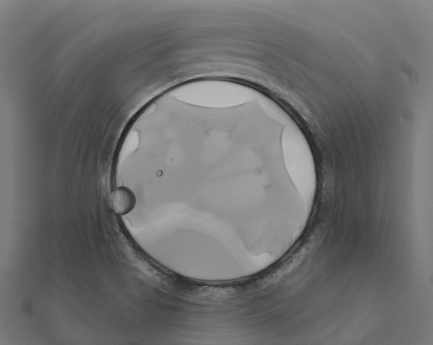 X0000111241513200907301256