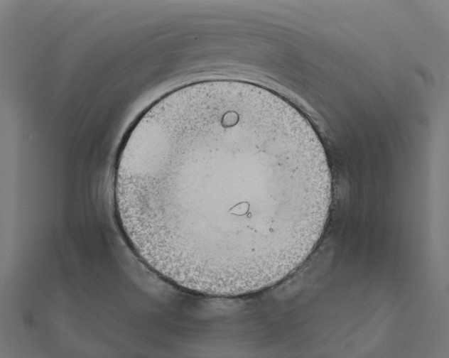 X0000111241514200907301256