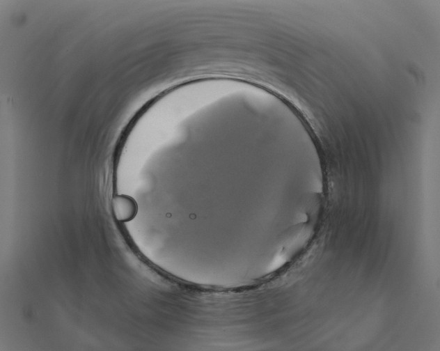 X0000111241515200907301256