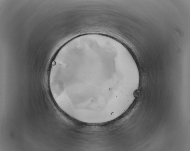 X0000111241517200907301256