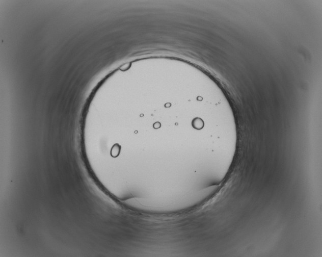 X0000111241518200907301256