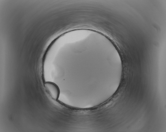 X0000111241519200907301256